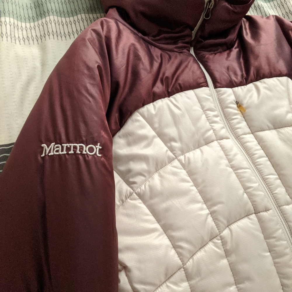Coat - Picture 3 of 3